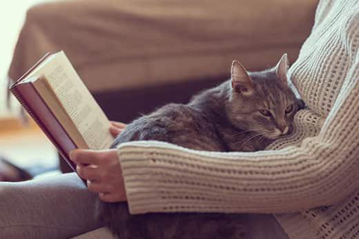 Cat laying on woman's lap while she reads a book.