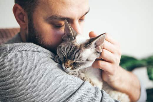 Man snuggles a devon rex cat in his arms.