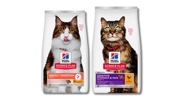 Science Plan Digestive health Cat Foods