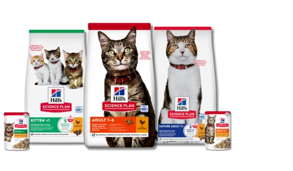 Selection of Science plan cat diets in bags, cans and pouches