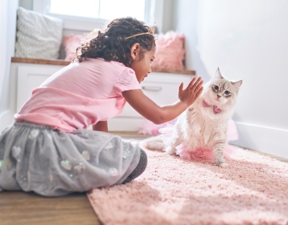 Mladá dívka si hraje s koťátkem