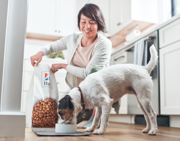 Pes jí krmivo Hill's Pet