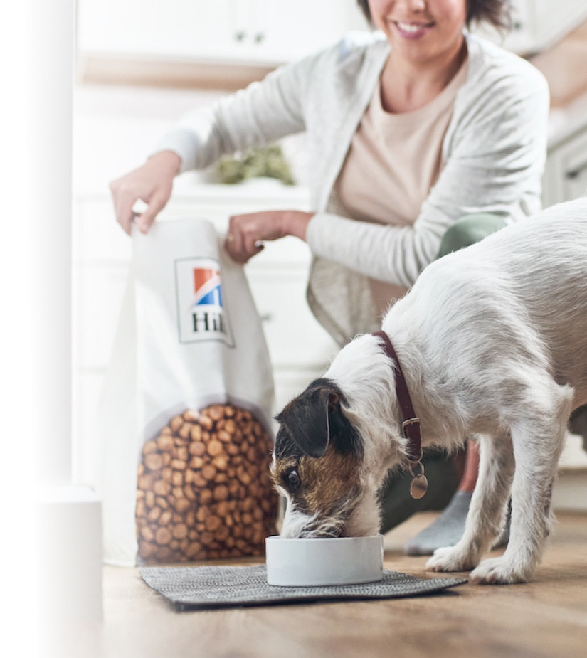 Kopce, které jedí psa