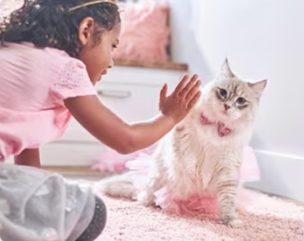 Mladá dívka si hraje s koťátkem