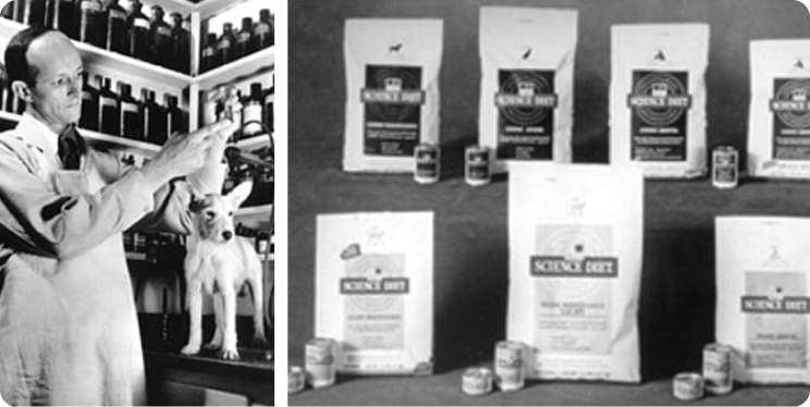 Doktor Mark Morris mladší při práci se zvířetem