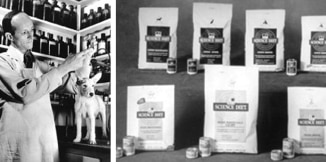 Doktor Mark Morris mladší při práci se zvířetem