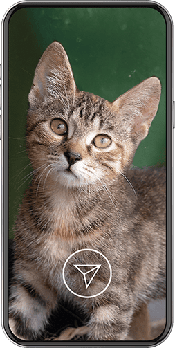 Připojte se k #PosláníPřáteléNavěky